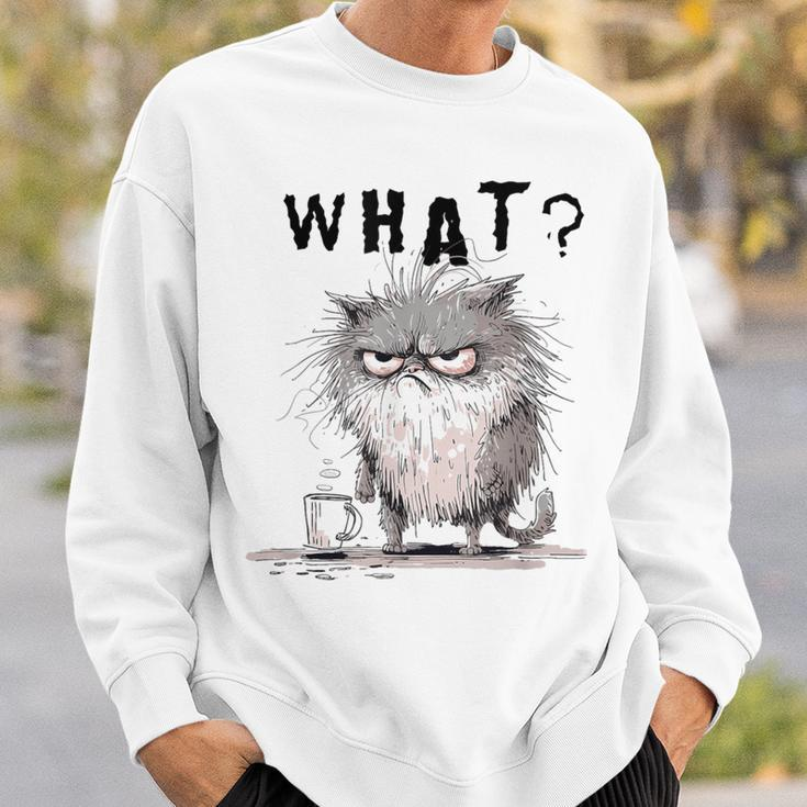 Bad Temper Feline With Coffee Grumpily Catty Grouchy Catt Sweatshirt Gifts for Him