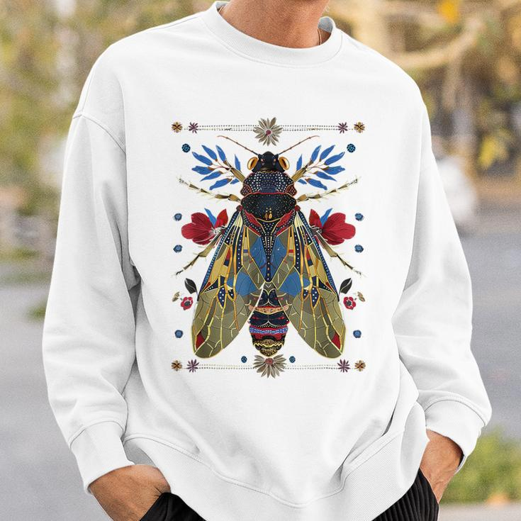 Cicada Entomology Lover Cicada Fest 2024 Broods Xix Xiii Sweatshirt Gifts for Him
