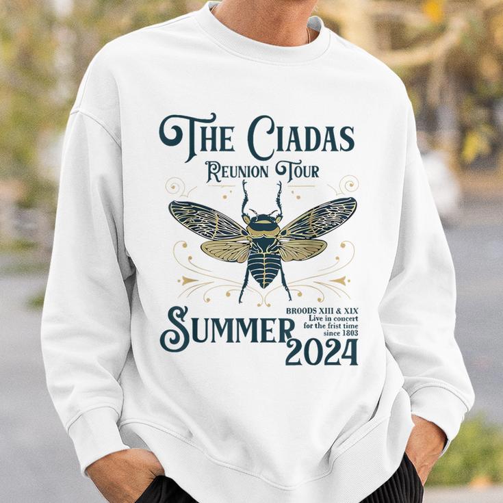 The Cicadas Reunion Tour Summer 2024 Cicada Brood Xiii Xix Sweatshirt