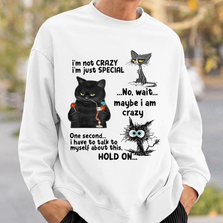 I'm Not Crazy I'm Just Special Wait Maybe I'm Crazy Sweatshirt Gifts for Him