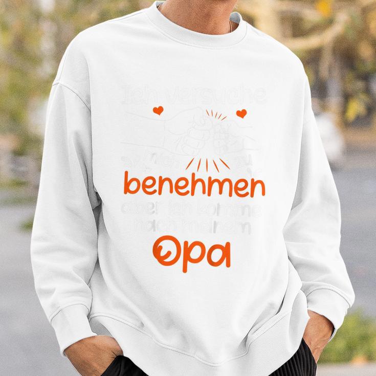 Kinder Ichersuche Mich Zu Benehmen Opa Children's Slogan Sweatshirt Geschenke für Ihn