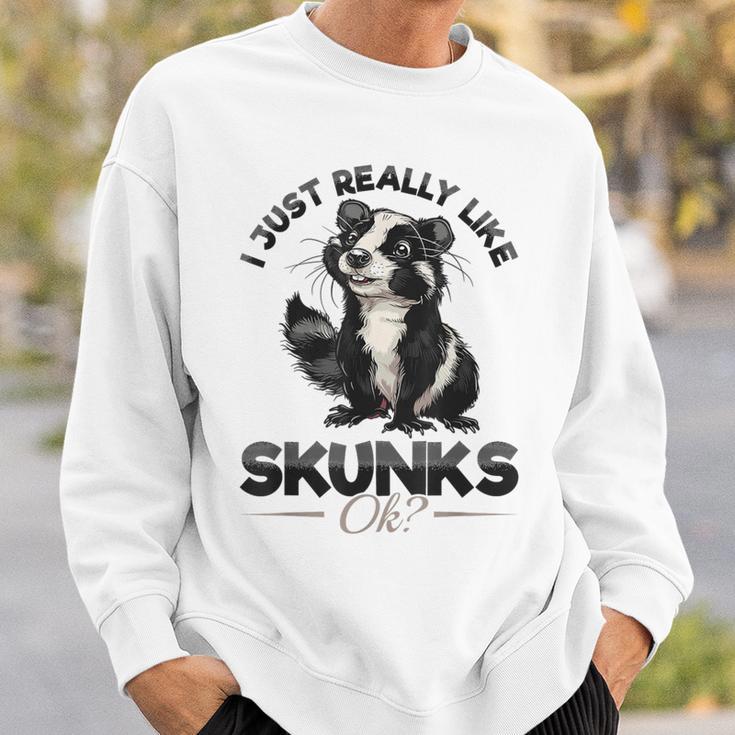 Lustiges Stinktier I Just Really Like Skunks Ok Sweatshirt Geschenke für Ihn