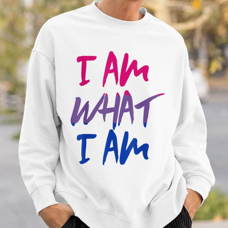I Am What I Am I Am Flag For Bisexual Sweatshirt Geschenke für Ihn