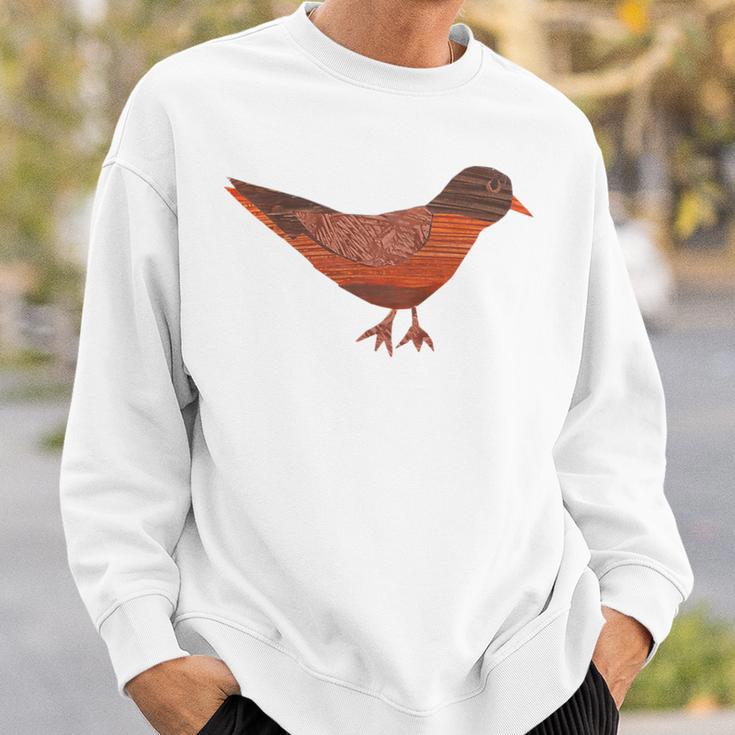 Robin Graphic Backyard Bird Lovers Sweatshirt Gifts for Him