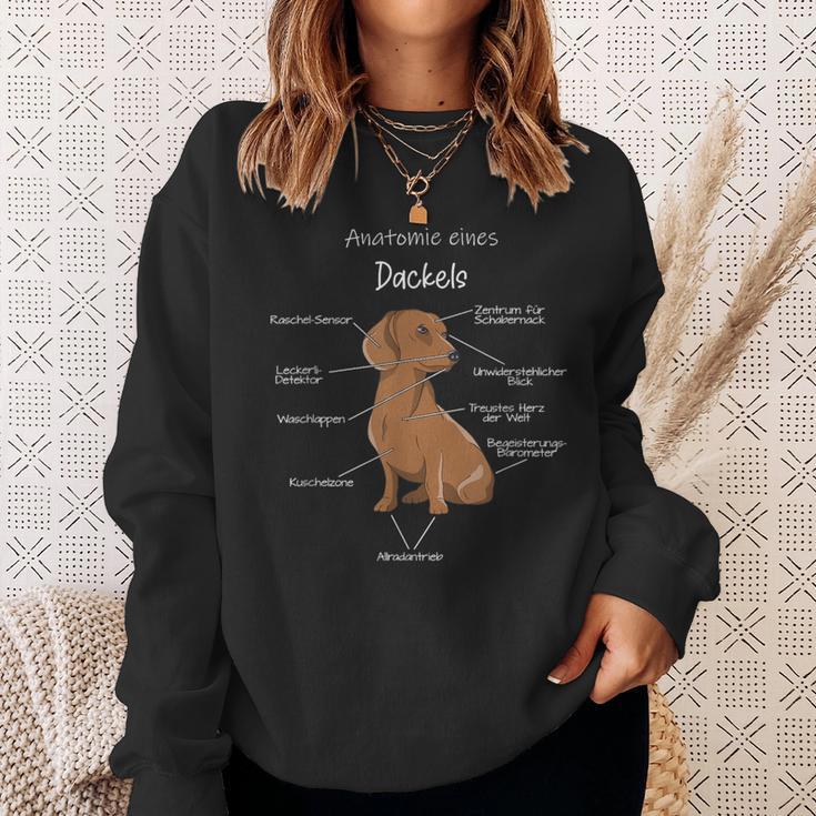 Anatomy Of A Dachshund Badger Dog Sweatshirt Geschenke für Sie