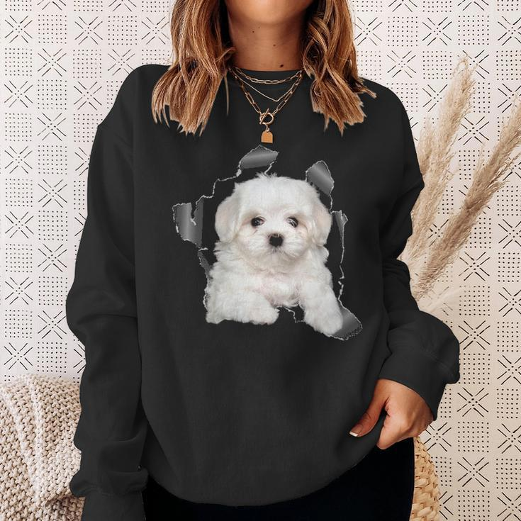 Cute Maltese Torn Cloth Maltese Lover Dog Owner Puppy Sweatshirt Gifts for Her