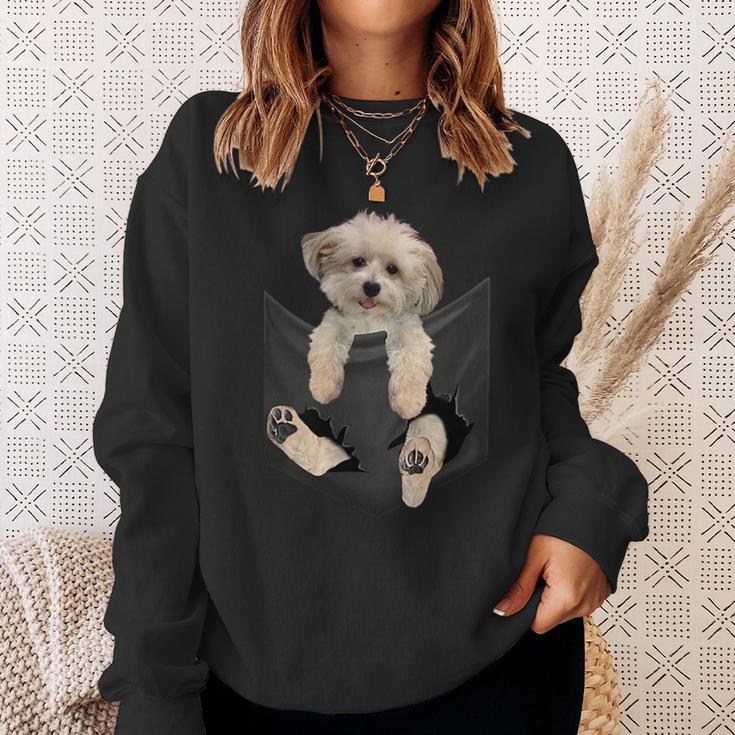 Havanese Dog In Pocket Havanezer Puppy Sweatshirt Geschenke für Sie