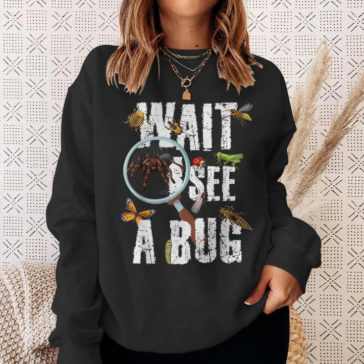 Insects Of The World Bug Lover Expert Entomologist Bugs Fan Sweatshirt Gifts for Her