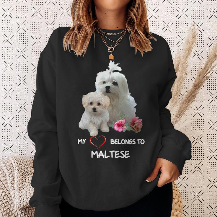 Maltese Dog Heart Belongs Maltese Puppy Sweatshirt Gifts for Her