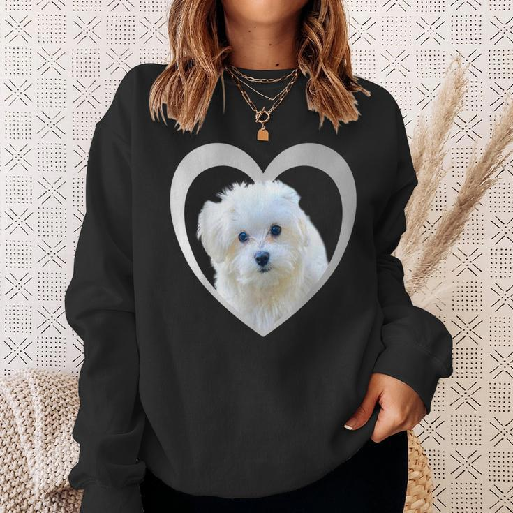 Maltese Maltese Dog Maltese Sweatshirt Geschenke für Sie