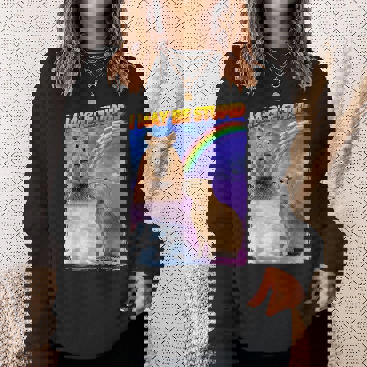 I May Be Stupid Internet Meme Sweatshirt Gifts for Her