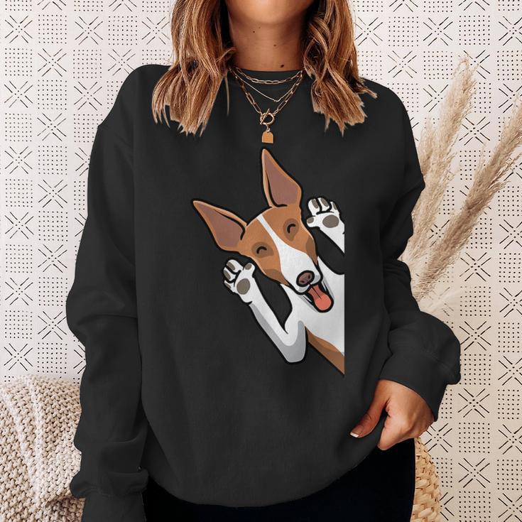 Podenco Ibicenco Dog Sweatshirt Geschenke für Sie