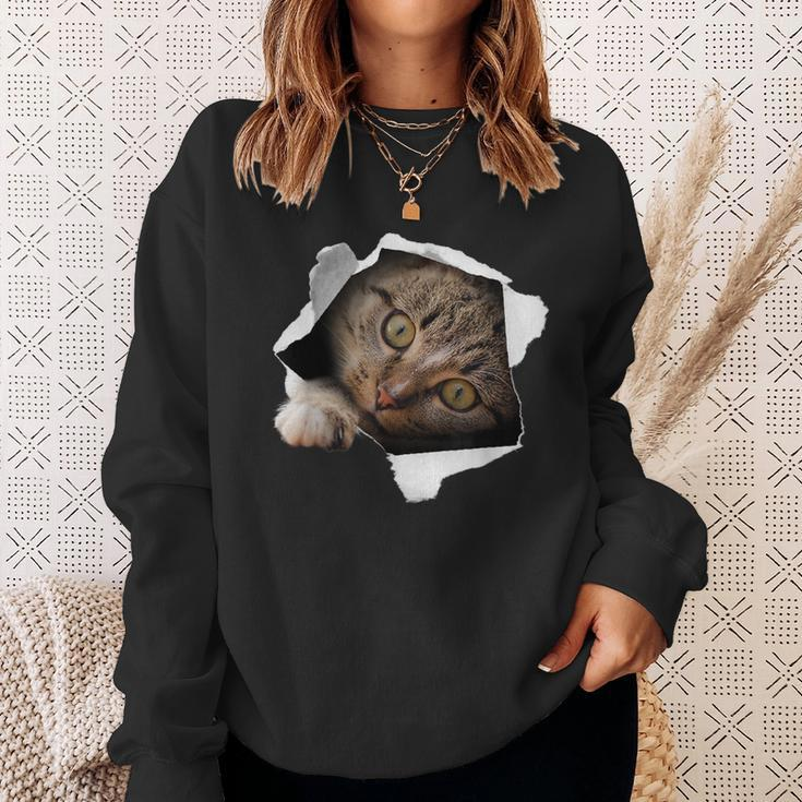 Stunning Tabby Cat Torn Cloth Cat Lovers Kitten Sweatshirt Gifts for Her