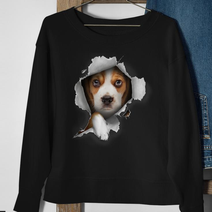 Beagle Lover Dog Lover Beagle Owner Beagle Sweatshirt Gifts for Old Women