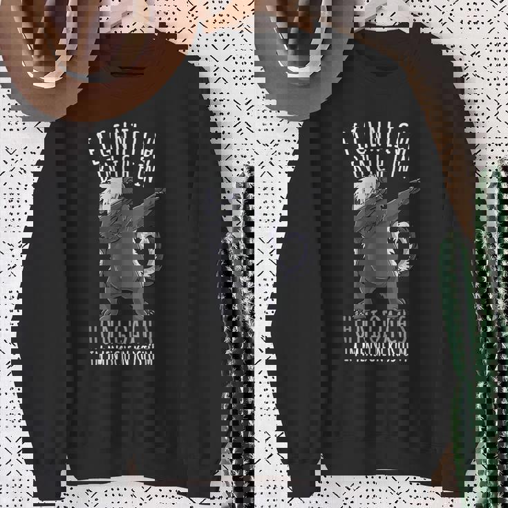 Dabbing Honigdachs Kostüm Mädchen Honigdachs Sweatshirt Geschenke für alte Frauen