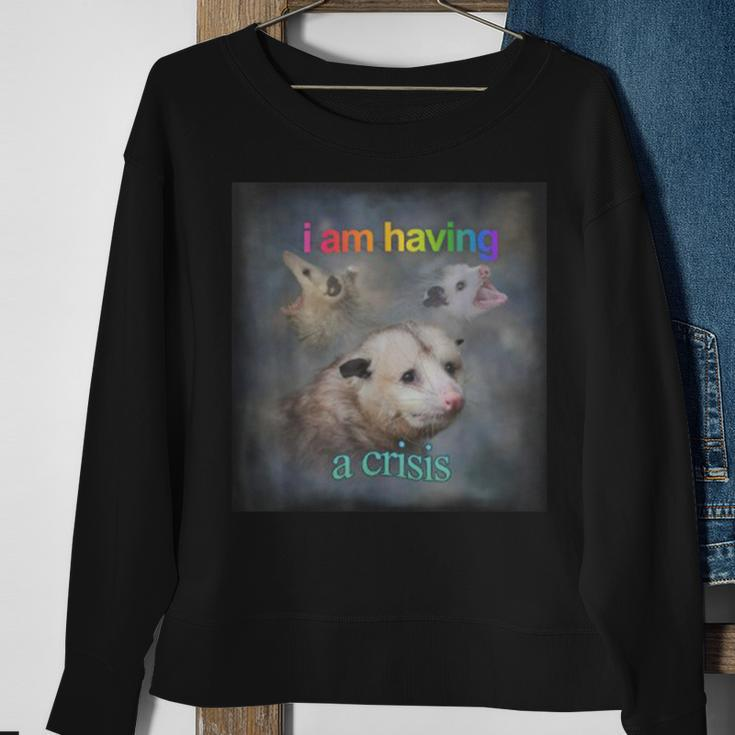 I Am Having A Crisis Possum Sweatshirt Gifts for Old Women