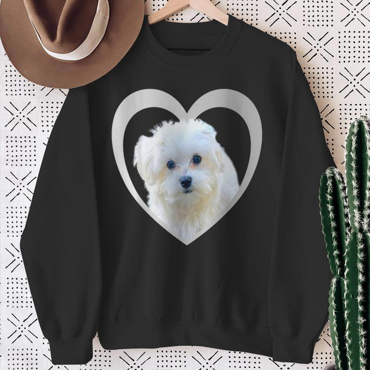 Maltese Maltese Dog Maltese Sweatshirt Geschenke für alte Frauen