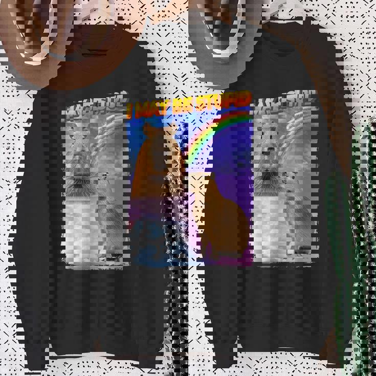 I May Be Stupid Internet Meme Sweatshirt Gifts for Old Women