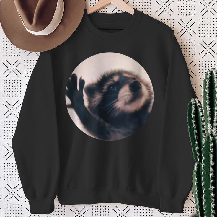 Pedro Racoon Dance Popular Internet Meme Mapache Dance Sweatshirt Gifts for Old Women