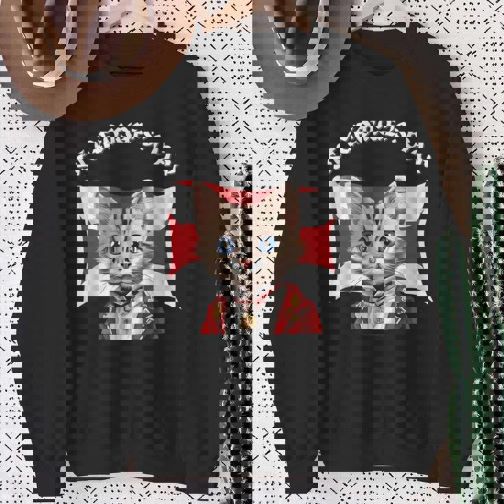 St Georges Day British Cat With English Flag Sweatshirt Gifts for Old Women