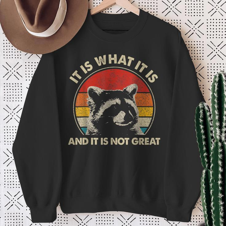 Vintage Racoon It Is What It Is And It Is Not Great Sweatshirt Gifts for Old Women