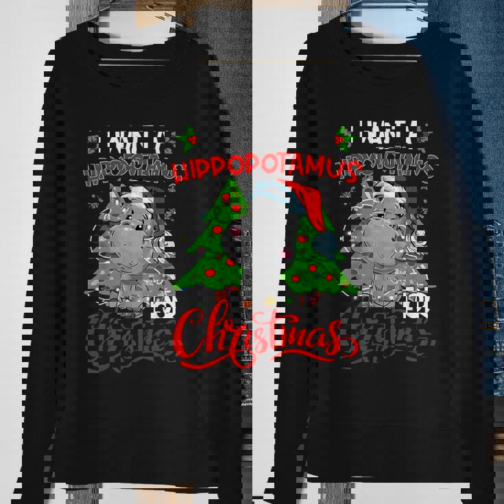 I Want A Hippopotamus For Christmas Hippo Santa Xmas Pajama Sweatshirt Gifts for Old Women