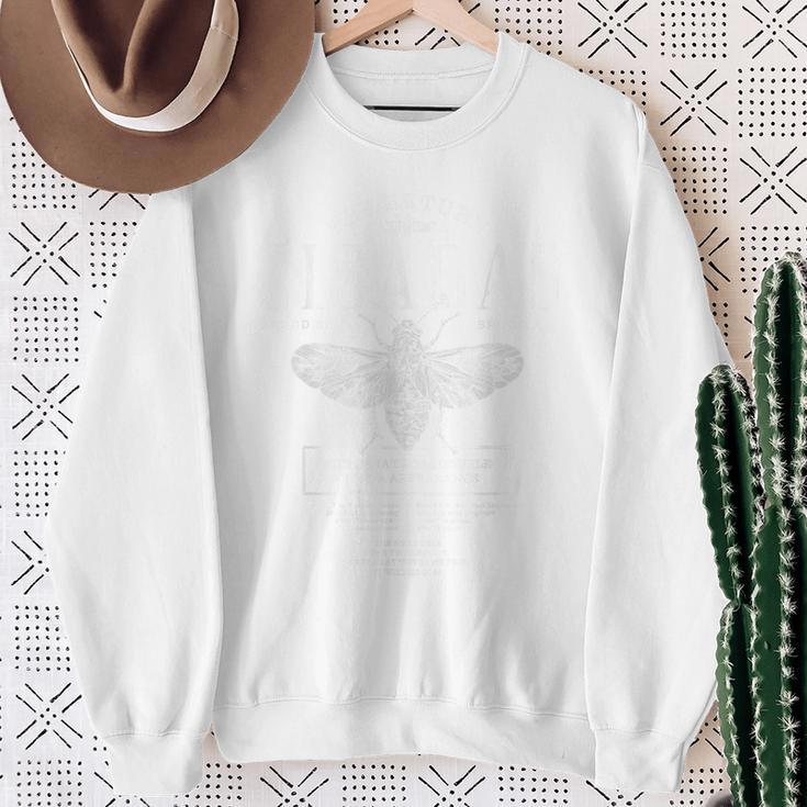 Cicada Summer 2024 Appearance Vintage Sweatshirt Gifts for Old Women