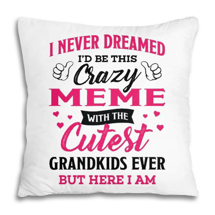 Meme Grandma Gift   I Never Dreamed I’D Be This Crazy Meme Pillow