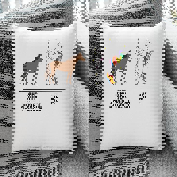 40Th Birthday Unicorn Funny 40 Years Old Other Me Women Pillow