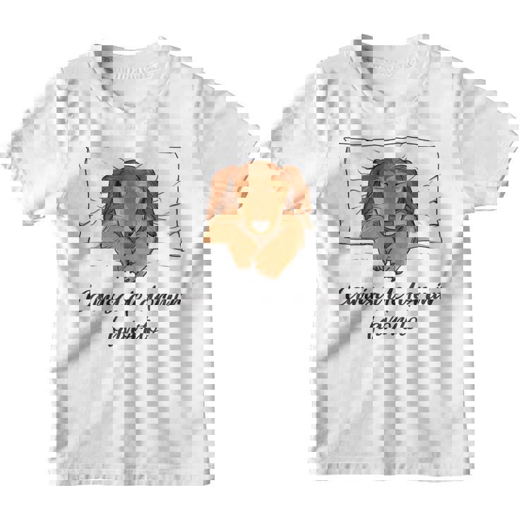 Camisa De Dormir Perro Pijama Perro Salchicha Camiseta niño