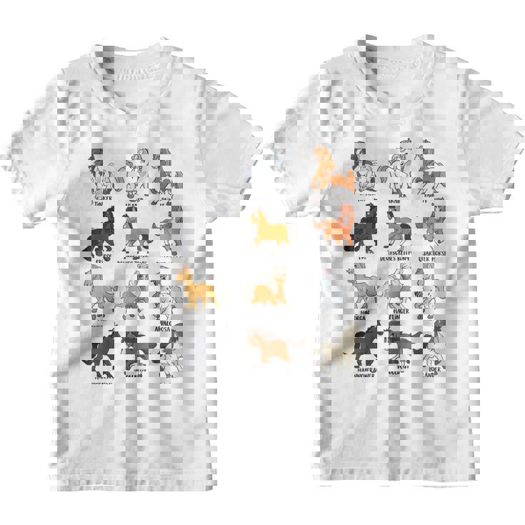Muchas Razas De Caballos Caballos Kawaii De Dibujos Animados Camiseta niño