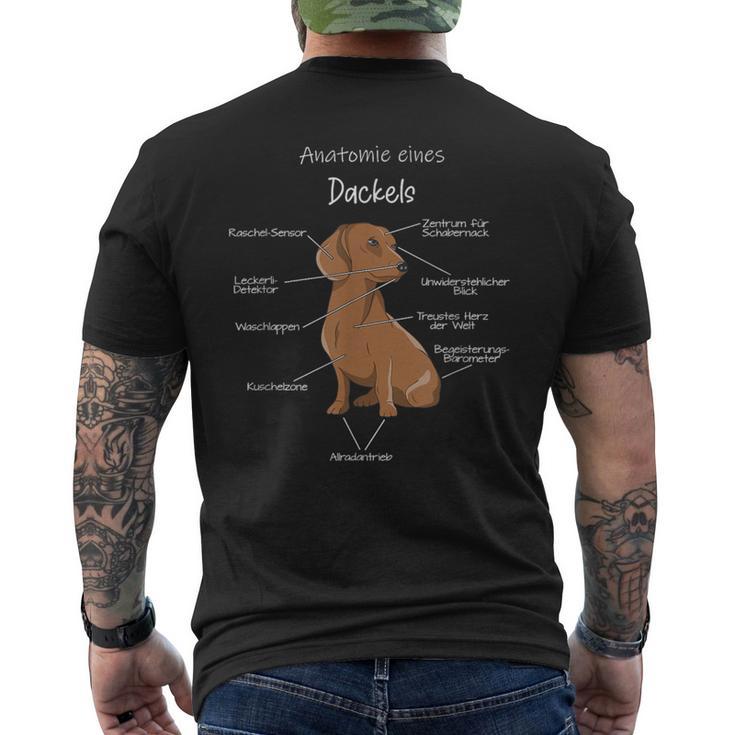 Anatomy Of A Dachshund Badger Dog T-Shirt mit Rückendruck