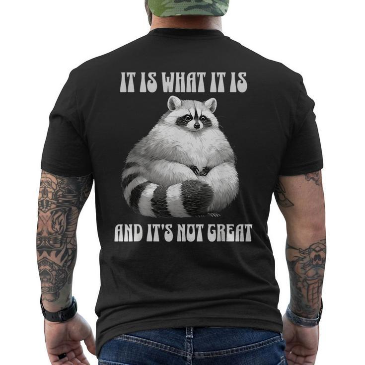 It Is What It Is And Its Not Great Racoon Vintage Meme Men's T-shirt Back Print