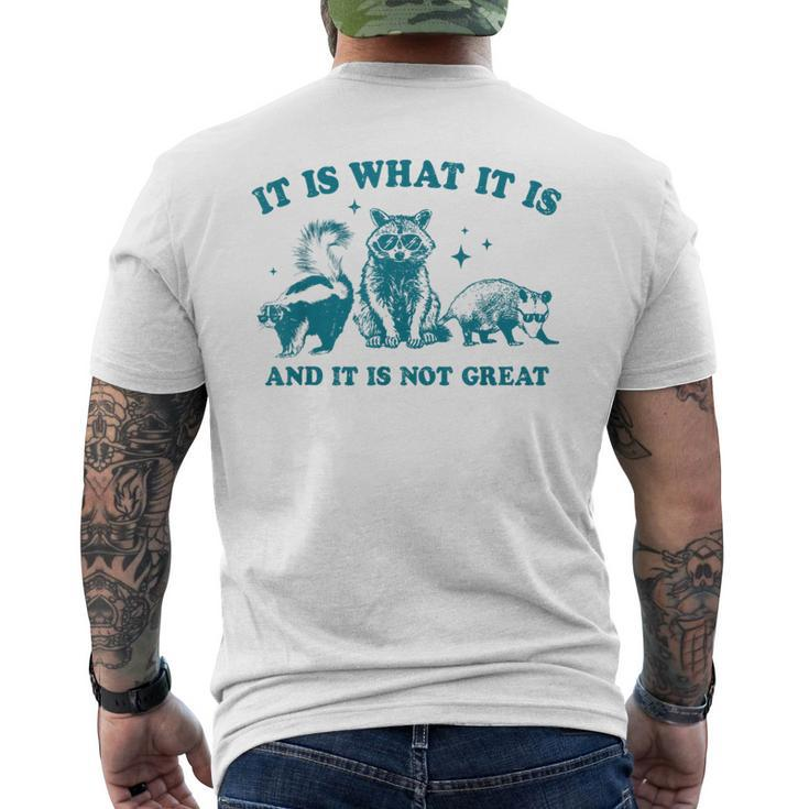 It Is What It Is And It Is Not Great Raccoon Trash Panda Men's T-shirt Back Print