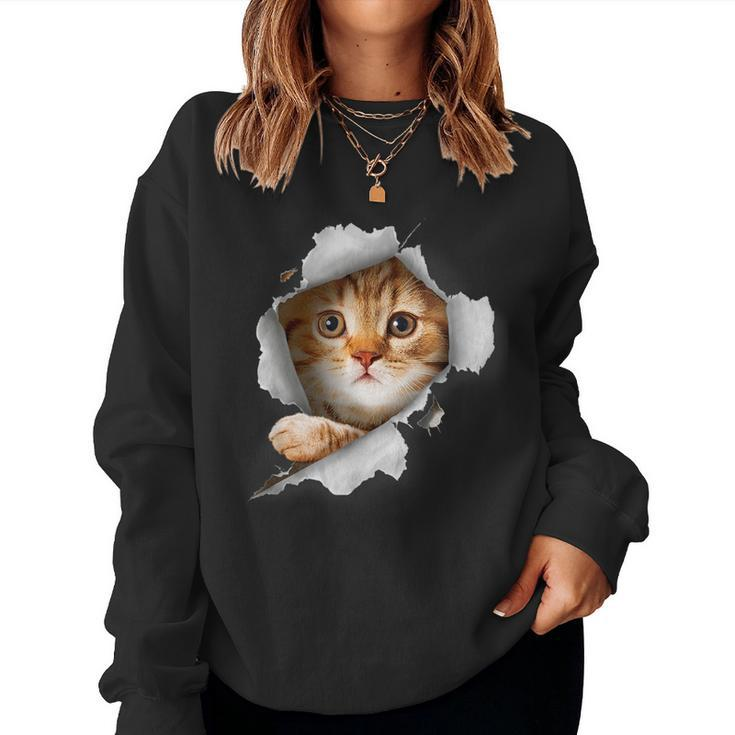 Cat Lover Cat Ginger Cat Art Cat Owner Women Sweatshirt
