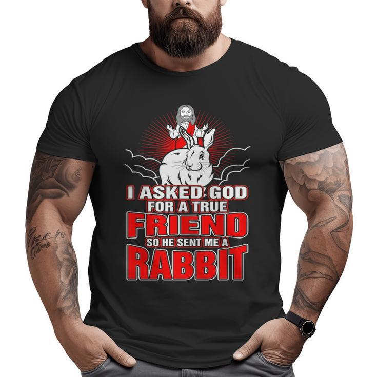 I Asked God For True Friend So He Sent Me A Rabbit Big and Tall Men T-shirt