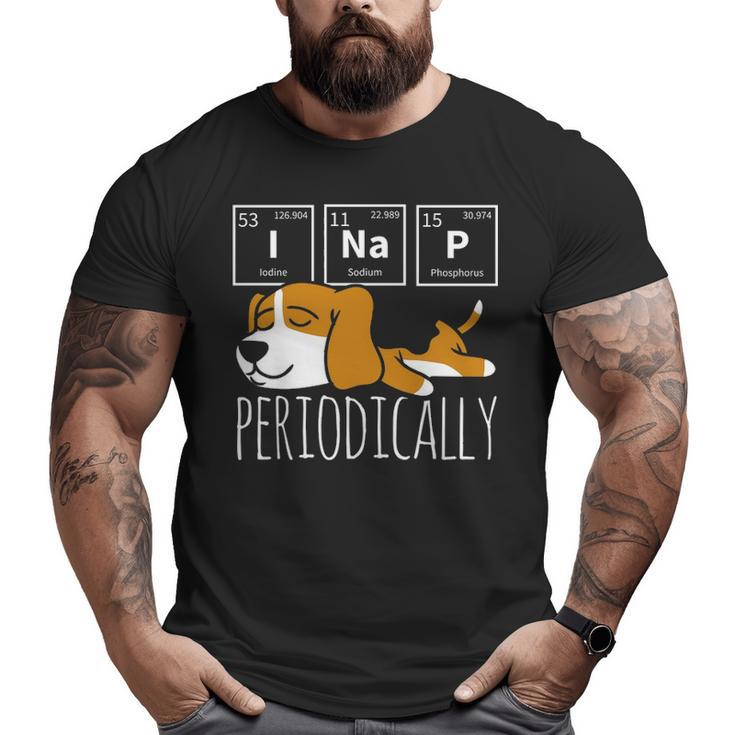 Science I Nap Periodic Table Meme Meh Beagle Dog Big and Tall Men T-shirt
