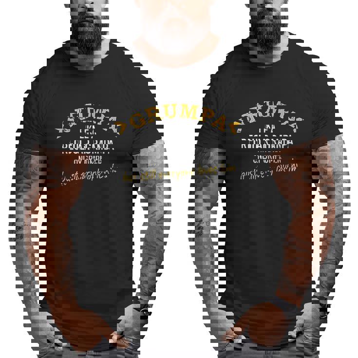Grandpa Grumpa Big and Tall Men T-shirt