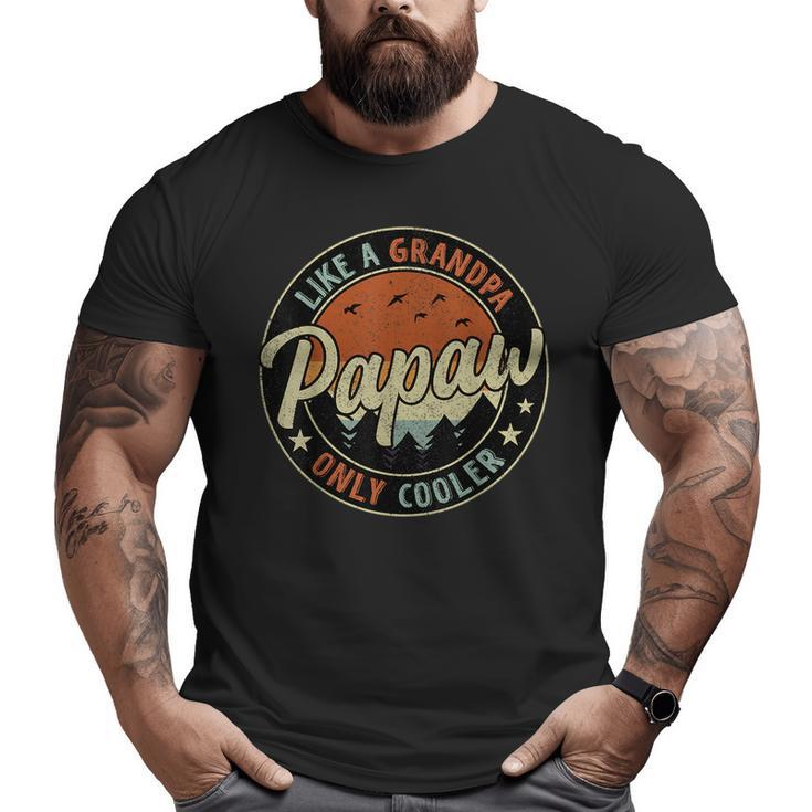 Papaw Like A Grandpa Only Cooler Vintage Retro Father's Day Big and Tall Men T-shirt