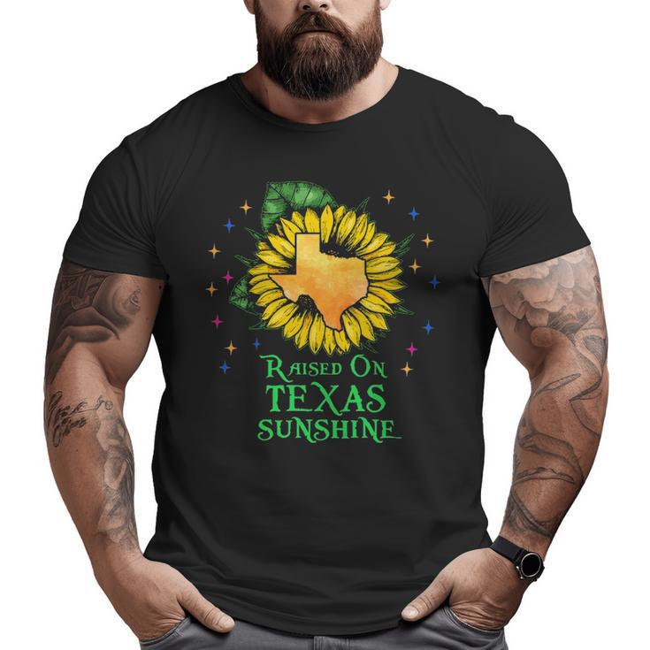 Raised Texas Sunshine Big and Tall Men T-shirt