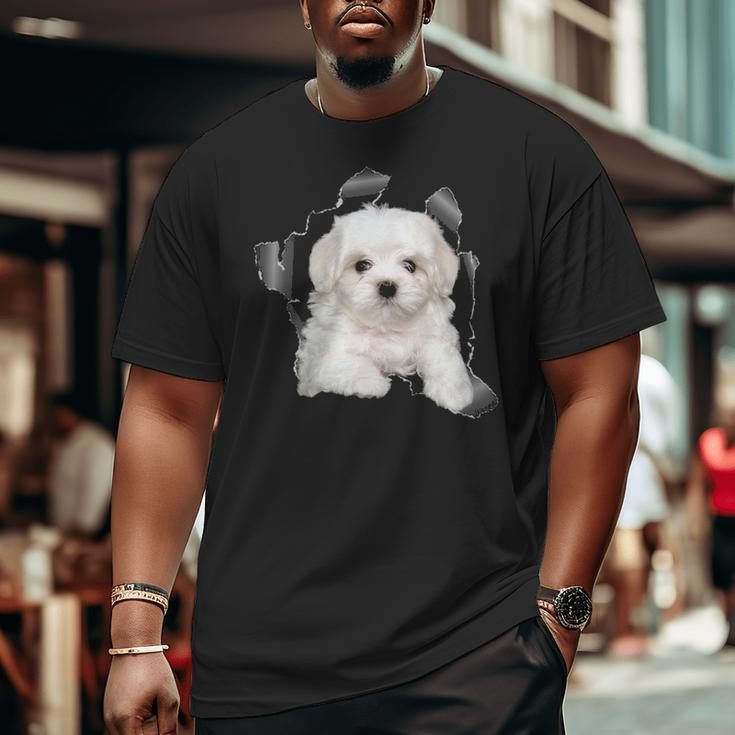 Cute Maltese Torn Cloth Maltese Lover Dog Owner Puppy Big and Tall Men T-shirt