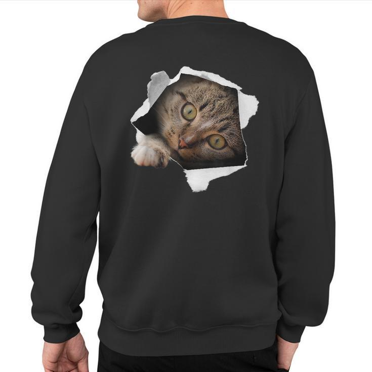 Stunning Tabby Cat Torn Cloth Cat Lovers Kitten Sweatshirt Back Print