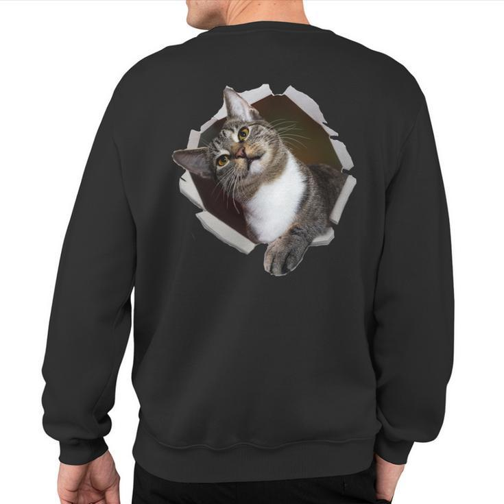 Sweet Kitten Torn Cloth Unique & Cool Cat Lover Sweatshirt Back Print