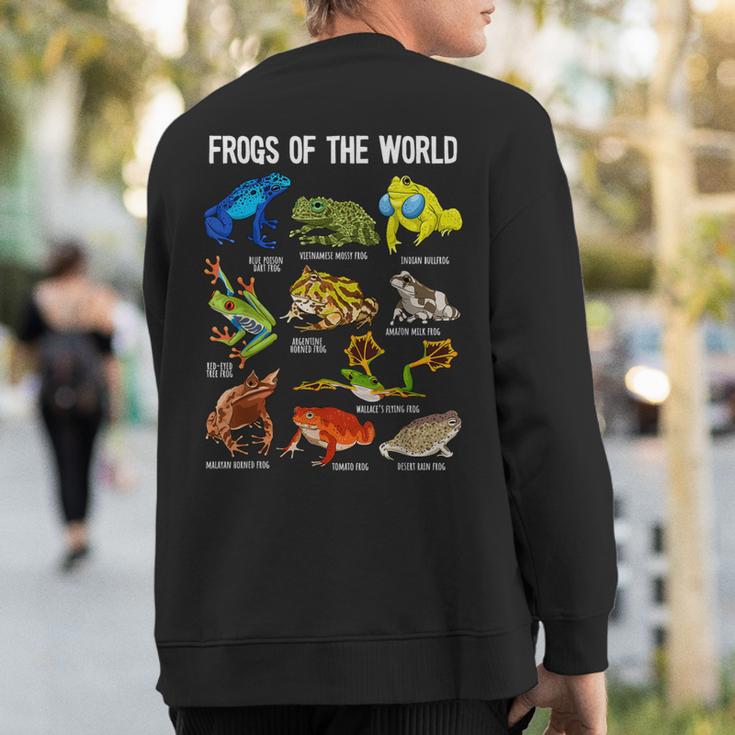 Frog Lover Types Of Frogs Frog Catcher Herpetology Frog Sweatshirt Back Print