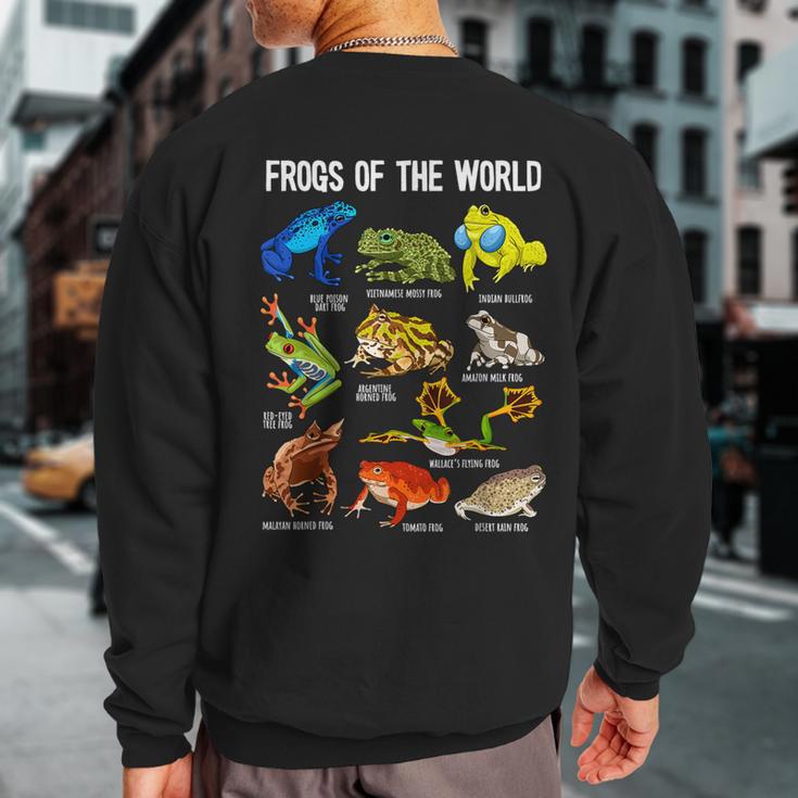 Frog Lover Types Of Frogs Frog Catcher Herpetology Frog Sweatshirt Back Print