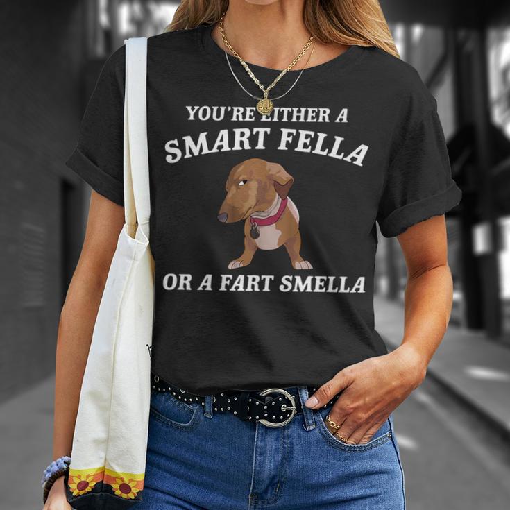 You're Either A Smart Fella Or A Fart Smella- Dog T-Shirt Gifts for Her