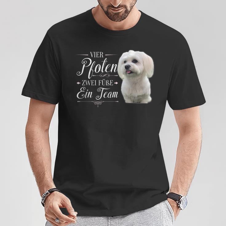 Cute Maltese Dog Graphic T-Shirt Lustige Geschenke