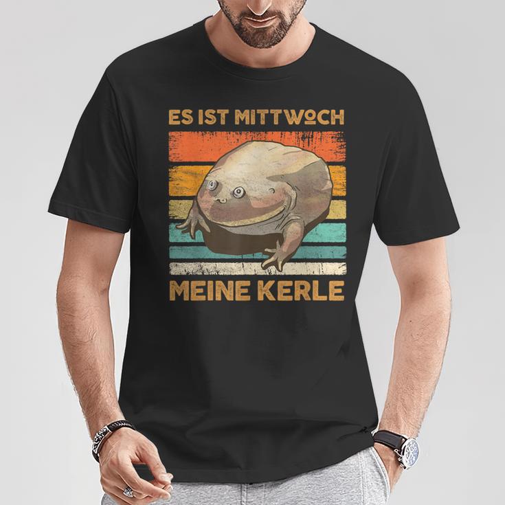 Es Ist Mittwoch Meine Kerle Wednesch Frog Meme T-Shirt Lustige Geschenke