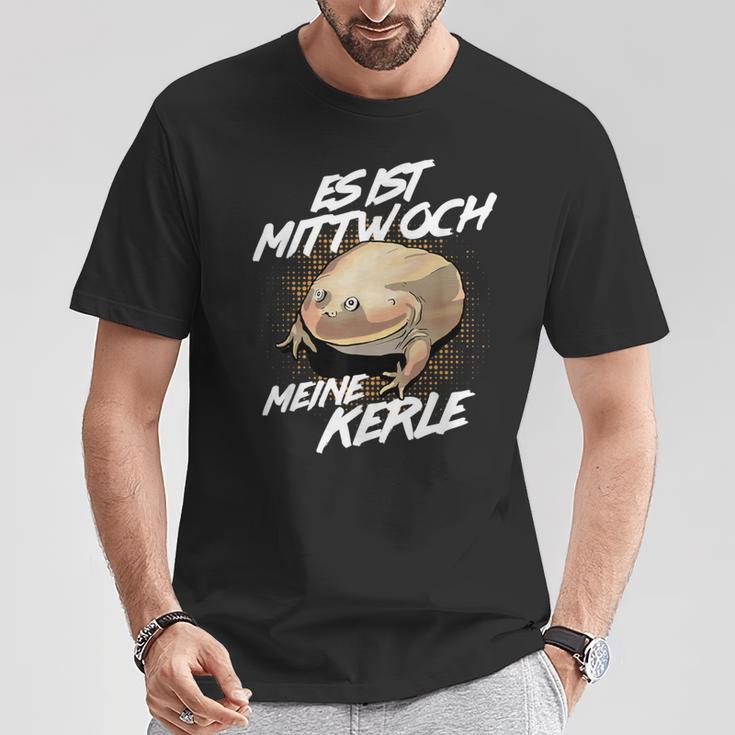 Es Ist Mittwoch Meine Kerle Wednesch Frog Meme S T-Shirt Lustige Geschenke