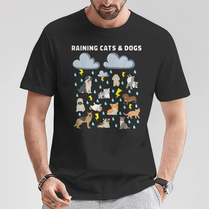 English Idiom Raining Cats And Dogs Puppies Kitten T-Shirt Funny Gifts